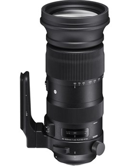 Sigma 60-600mm sport Canon