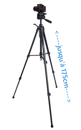 Caruba Blackstar 175