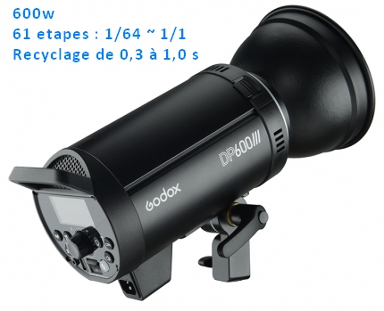 Kit 600w GODOX DP600 III (2 flashs)