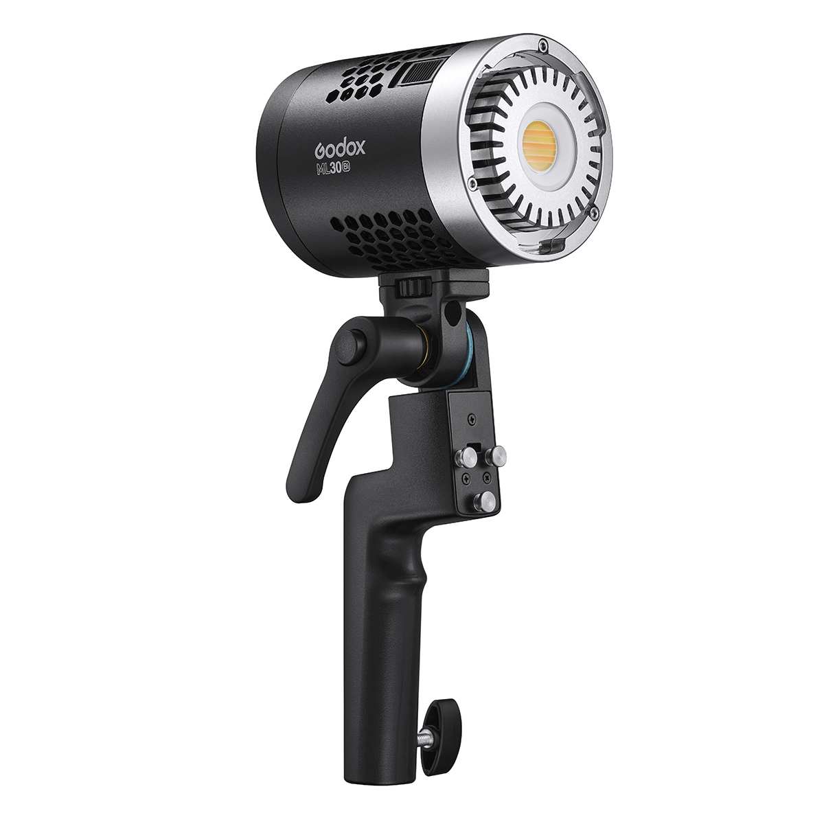 Godox ML30Bi Duo LED Light Kit