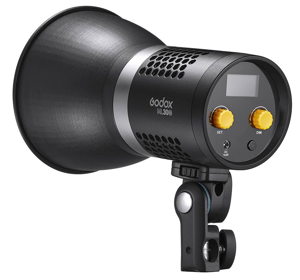 Godox ML30Bi Duo LED Light Kit