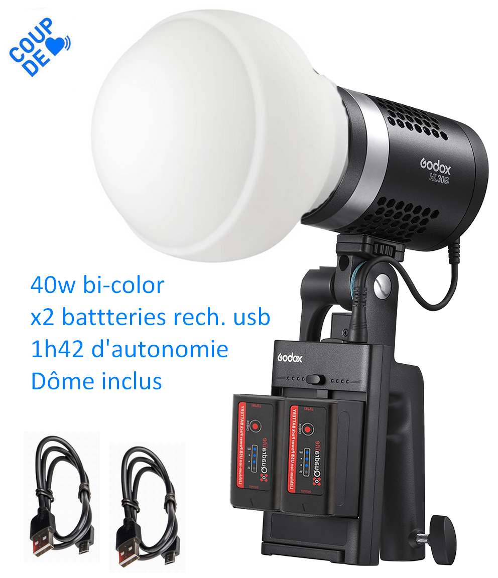 Godox ML30Bi Duo LED Light Kit