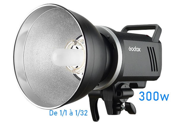 Godox MS300